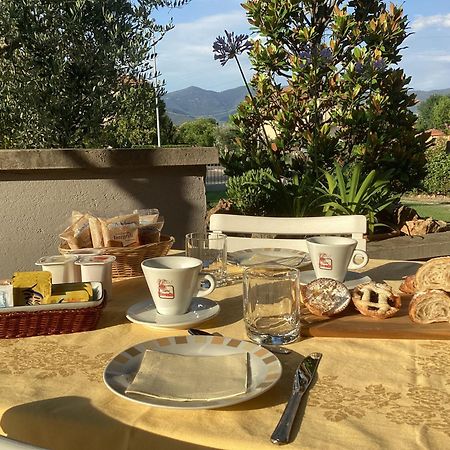 Villa Orsini - A Retreat In Pisa - Food And Relax Екстериор снимка