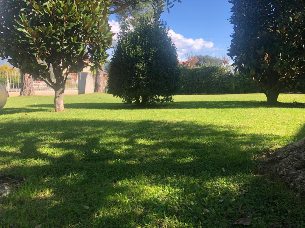Villa Orsini - A Retreat In Pisa - Food And Relax Екстериор снимка
